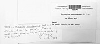 Image Associated With the Occurence